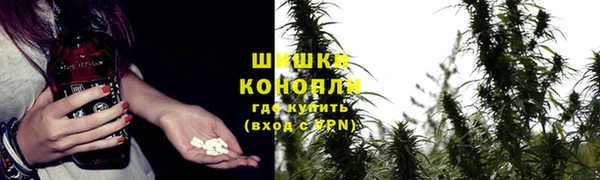 винт Богородск