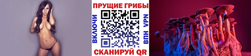 Галлюциногенные грибы Psilocybe  блэк спрут   Вяземский 